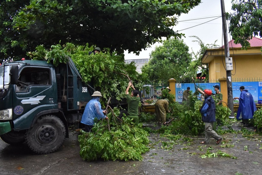 Lực lượng chức năng nhanh chóng xử lý cây đổ, dọn dẹp đường phố, khôi phục giao thông.