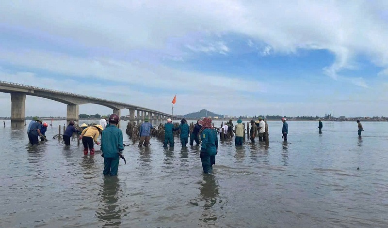 Hàng trăm người dân xã Cẩm Lĩnh, huyện Cẩm Xuyên ra quân tháo dỡ "ma trận" cọc bê tông, cọc tre nuôi hàu trái phép trên sông Rác