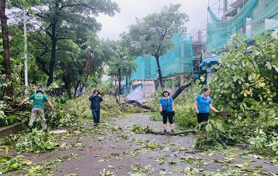 Các cán bộ, hội viên Hội LHPN phường Thanh Xuân Bắc tham gia dọn cây bị gãy đổ