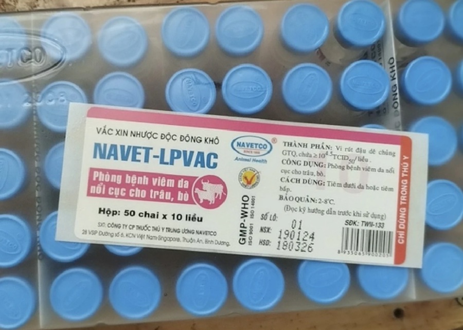 Vắc xin Navet-LpVac của Công ty Navetco được xác định là nguyên nhân của bệnh tiêu chảy gây chết hàng loạt ở bò sữa sau khi tiêm.