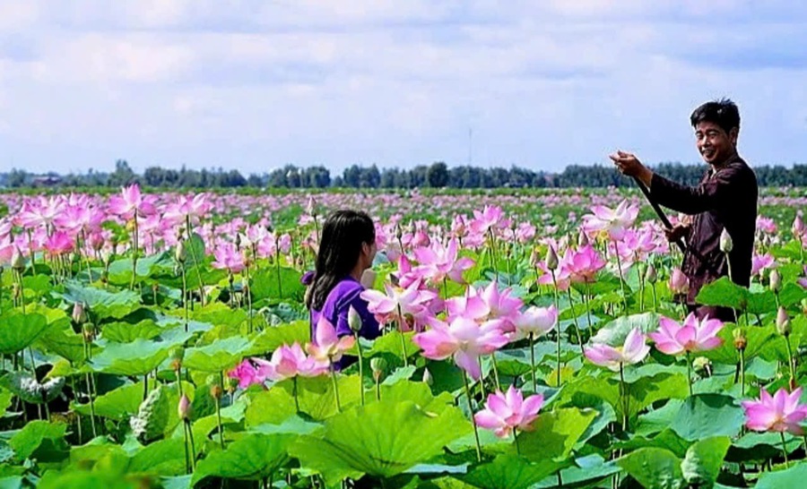 Đồng Tháp là “Trung tâm giải pháp chuyển đổi xanh khu vực ĐBSCL” trong tình hình mới. Ảnh minh họa