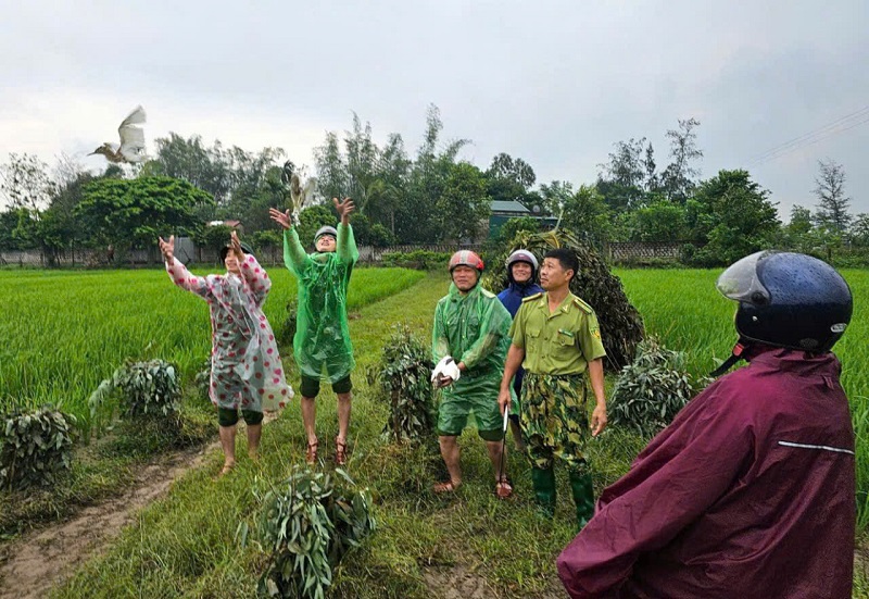 Lực lượng Kiểm lâm tỉnh Hà Tĩnh và các cơ quan chức năng tiến hành tái thả nhiều chim mồi còn sống về môi trường tự nhiên