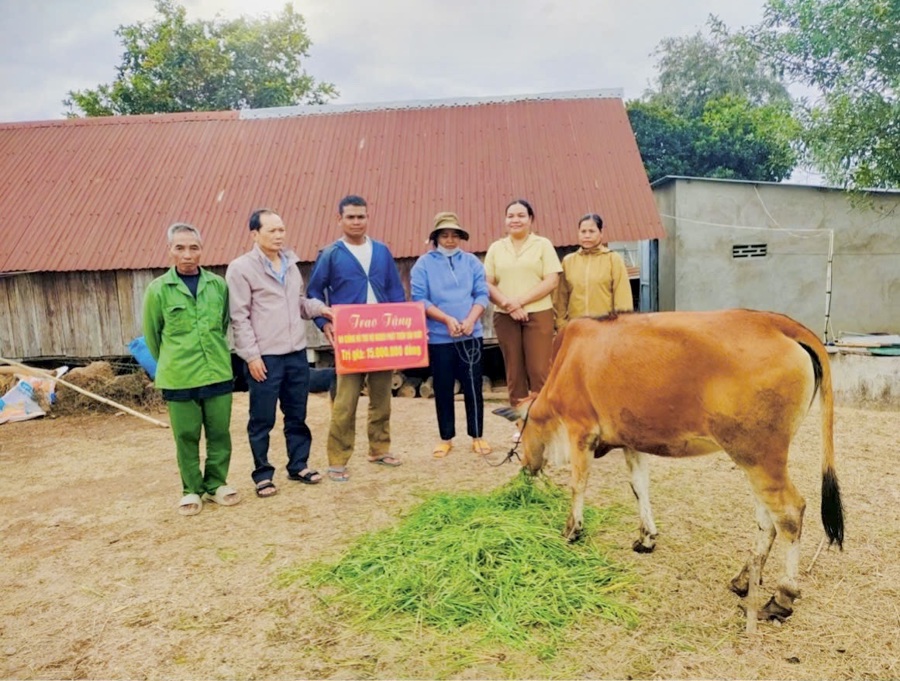 MTTQ VN huyện Lắk trao bò cho một hộ nghèo trên địa bàn.