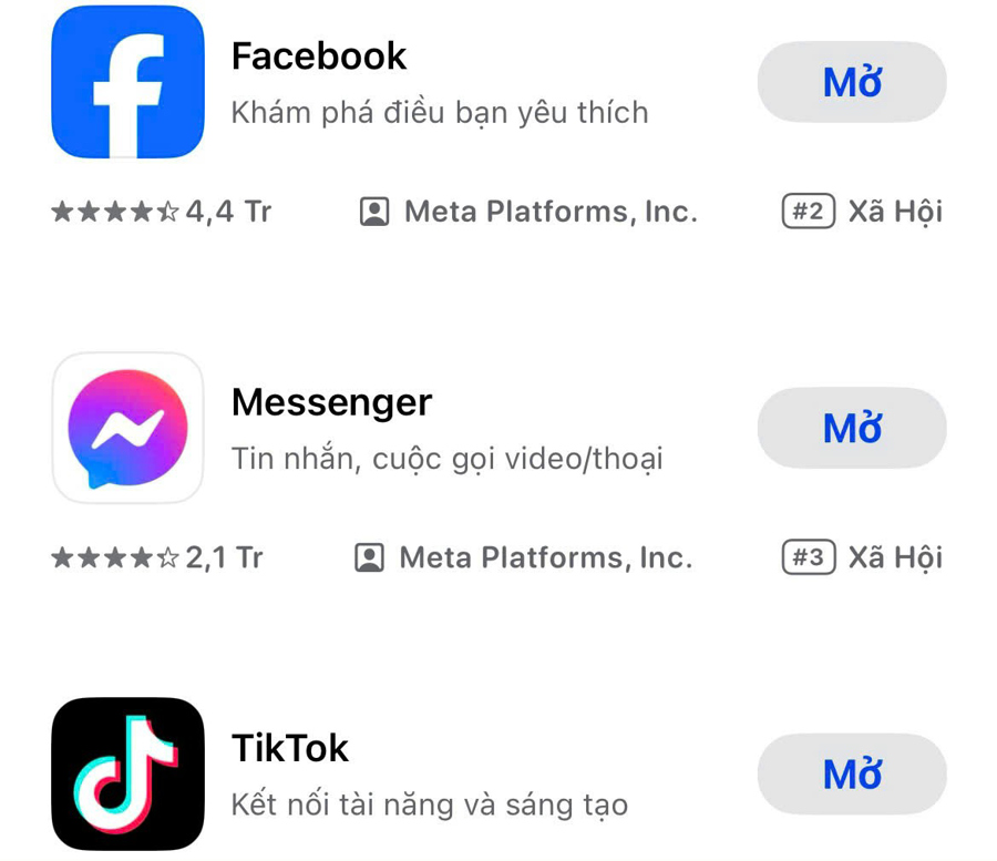 Gần 16.000 nội dung vi phạm trên các nền tảng xuyên biên giới như Facebook, Google và TikTok được gỡ bỏ trong năm 2024.