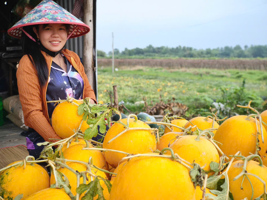 Con dâu của ông Nguyễn Văng Thông ở ấp Mỹ 1, xã Vĩnh Phú Đông huyện Phước Long tỉnh Bạc Liêu bên những quả dưa Hoàng Kim vừa thu hoạch (Hoàng Nam).