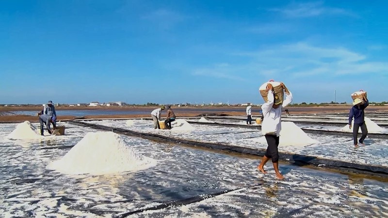 Diêm dân ở xã Điền Hải huyện Đông Hải Bạc Liêu đang khai thác muối (Hoàng Nam).