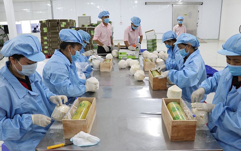 Nông sản Việt Nam hưởng lợi lớn từ Hiệp định Đối tác toàn diện khu vực (RCEP)