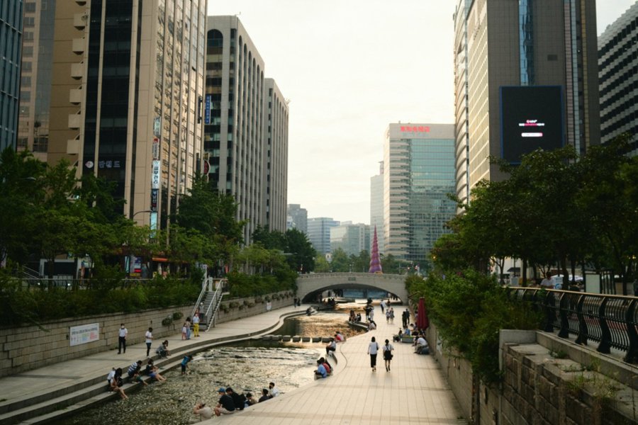 Suối Cheonggyecheon được cải tạo ở trung tâm thủ đô Seoul, Hàn Quốc, là một điển hình về cơ sở hạ tầng thân thiện với thiên nhiên. Ảnh: Reuters