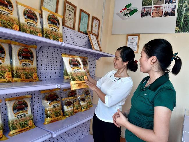 Khách hàng chọn mua sản phẩm gạo thơm Bối Khê của Hợp tác xã Nông nghiệp Tam Hưng, huyện Thanh Oai. Ảnh:  Lâm Nguyễn