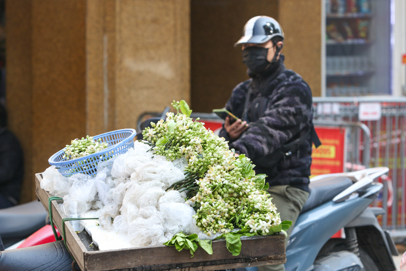 Những cành hoa bưởi tinh khôi tô điểm phố phường Hà Nội những ngày cuối tháng 2. Ảnh: Duy Khánh