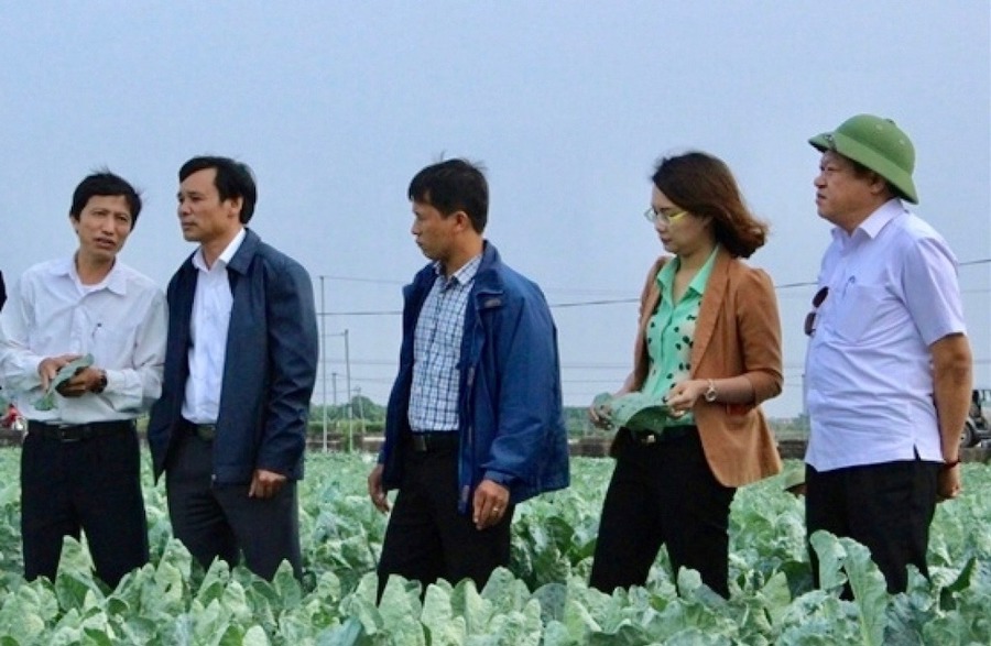 Ông Nguyễn Mạnh Phương (ngoài cùng bên phải) được bổ nhiệm làm Phó Giám đốc Sở NN&PTNT Hà Nội