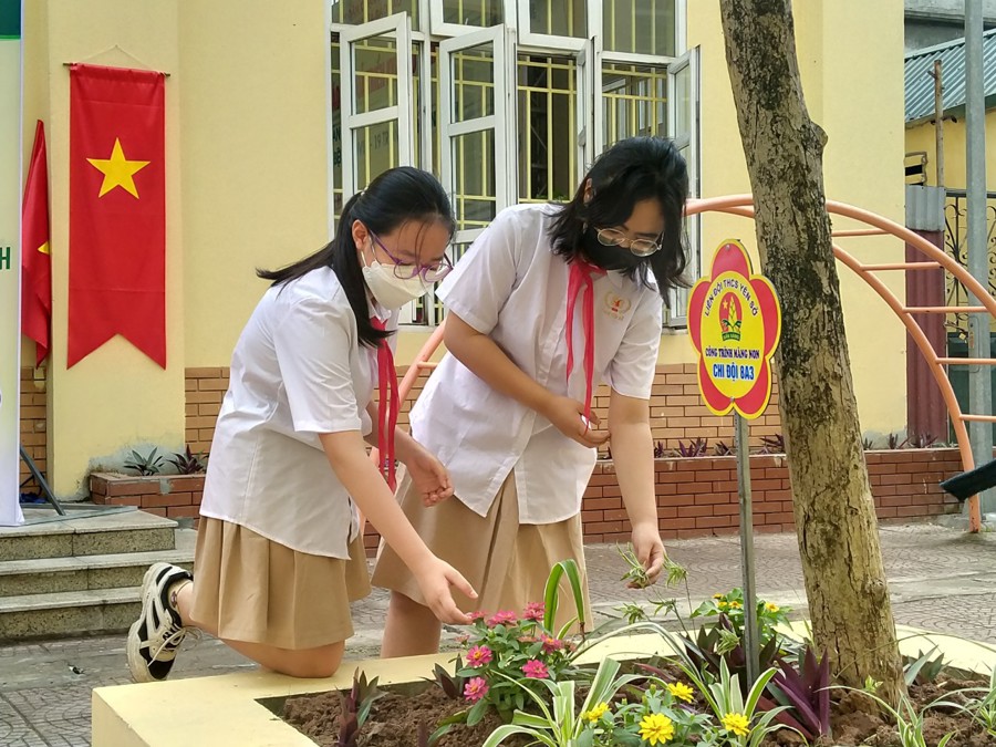 Học sinh Trường THCS Yên Sở chăm sóc cây. Ảnh AT