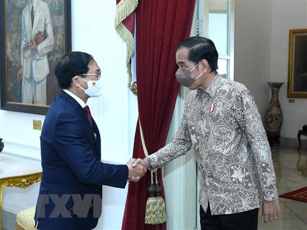 Bộ trưởng Ngoại giao Bùi Thanh Sơn tiếp kiến Tổng thống Indonesia Joko Widodo. Ảnh: TTXVN