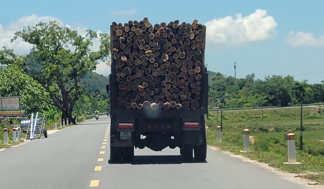 Xe chỡ gỗ keo cồng kềnh trên tuyến Tỉnh lộ 552 đoạn qua xã Hòa Lạc, huyện Đức Thọ  