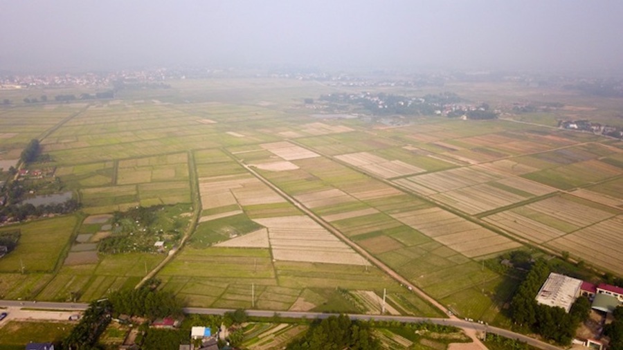 Huyện Sóc Sơn chuẩn bị đấu giá quyền sử dụng hơn 93.000m2 đất sản xuất nông nghiệp tại 6 xã.