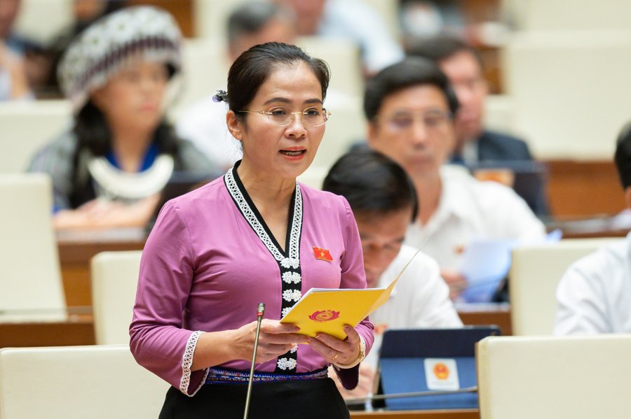 ĐB Quốc hội Võ Thị Minh Sinh (Đoàn tỉnh Nghệ An) cho rằng cần có quy định về lập, quản lý các trang fanpage chính thống của các cơ quan Nhà nước. Ảnh: Quochoi.vn