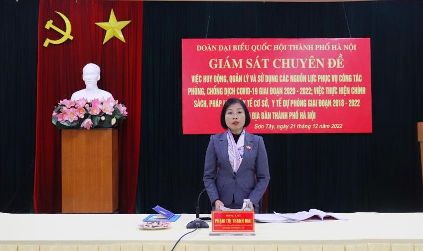 Phó Trưởng đoàn chuyên trách Đoàn đại biểu Quốc hội TP Hà Nội Phạm Thị Thanh Mai phát biểu tại buổi làm việc