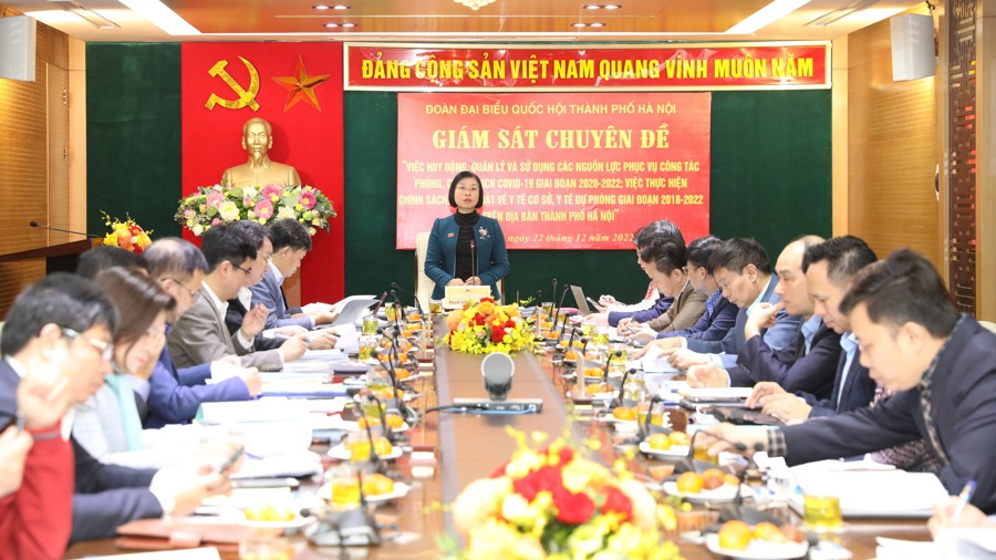Phó trưởng đoàn chuyên trách Đoàn ĐB Quốc hội TP Hà Nội Phạm Thị Thanh Mai phát biểu tại buổi làm việc 