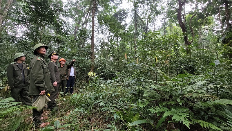 Lực lượng Kiểm lâm Hà Tĩnh tăng cường tuần tra, bảo vệ rừng tại gốc
