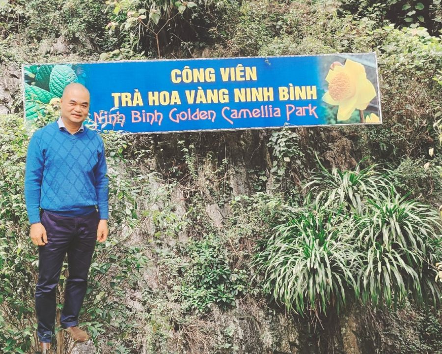 Công viên Trà hoa vàng Ninh Bình không chỉ mang ý nghĩa về mặt dược liệu mà còn phục vụ công tác nghiên cứu khoa học, bảo tồn và dần hình thành công viên Trà hoa vàng đầu tiên của Việt Nam. Ảnh AT