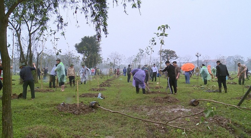 Hàng trăm cán bộ, nhân viên và người lao động ở TP Hà Tĩnh ra quân trồng cây xanh tại công viên trung tâm