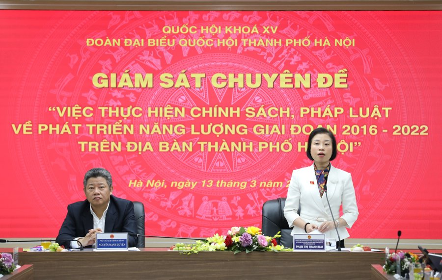 Phó trưởng chuyên trách Đoàn ĐB Quốc hội TP Hà Nội Phạm Thị Thanh Mai phát biểu tại buổi làm việc