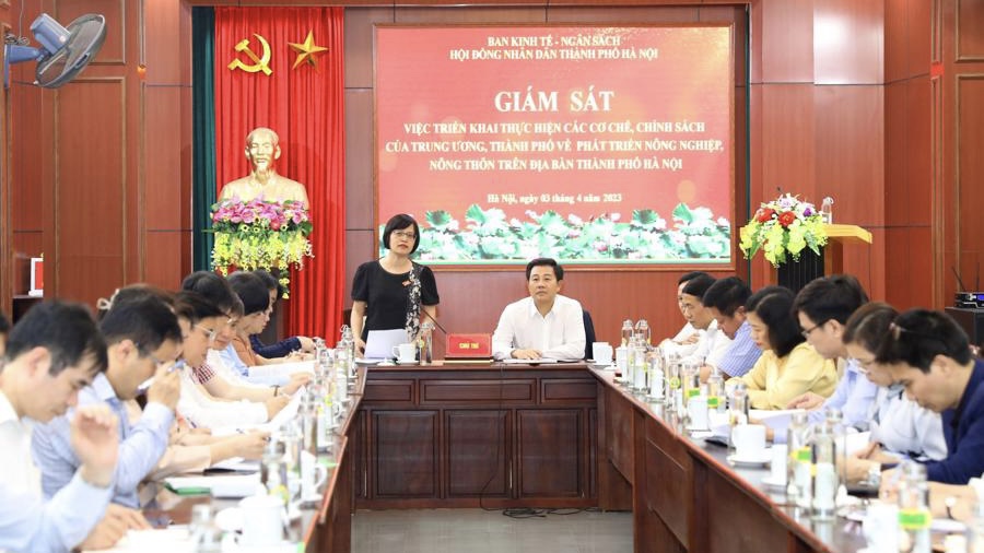 Trưởng Ban Kinh tế-Ngân sách, HĐND TP Hà Nội Hồ Vân Nga kết luận tại buổi làm việc.