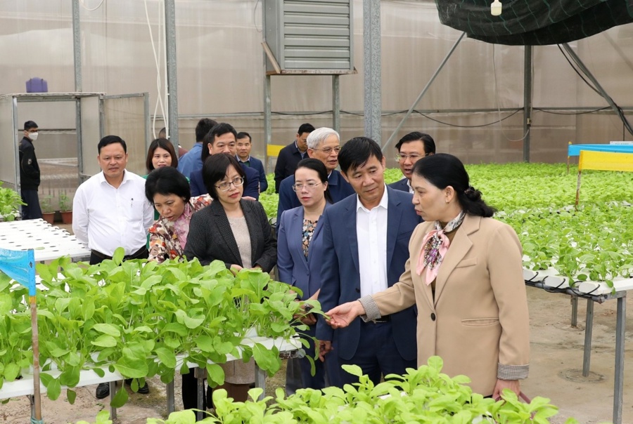 Đoàn giám sát của Ban Kinh tế-Ngân sách khảo sát thực tế thực hiện chính sách phát triển nông nghiệp tại huyện Gia Lâm