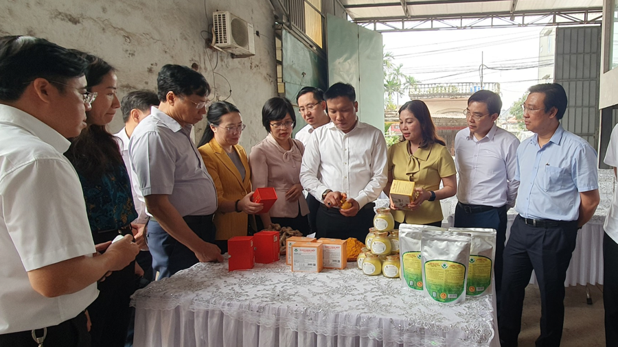 Ban Kinh tế-Ngân sách, HĐND TP Hà Nội tham quan mô hình sản xuất tinh bột nghệ tại xã Chí Tân (huyện Khoái Châu), tỉnh Hưng Yên.