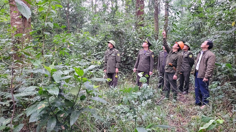 Các lực lượng chức năng tuần tra, kiểm soát rừng lim xanh tại  xã Sơn Kim 1, huyện Hương Sơn