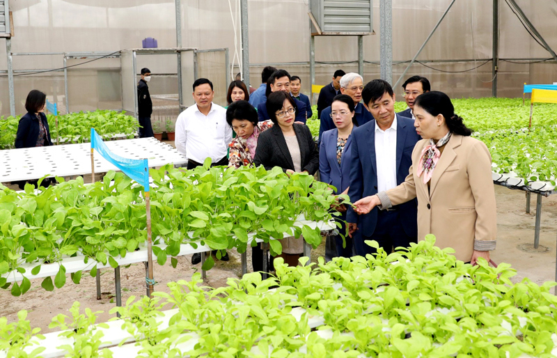 Ban Kinh tế - Ngân sách HĐND thành phố Hà Nội khảo sát mô hình sản xuất nông nghiệp chất lượng cao tại huyện Gia Lâm. Ảnh: Tuấn Việt