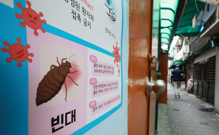 Hướng dẫn ứng phó với các bệnh truyền nhiễm và rệp tại một con hẻm ở thủ đô Seoul, Hàn Quốc. Ảnh: Yonhap