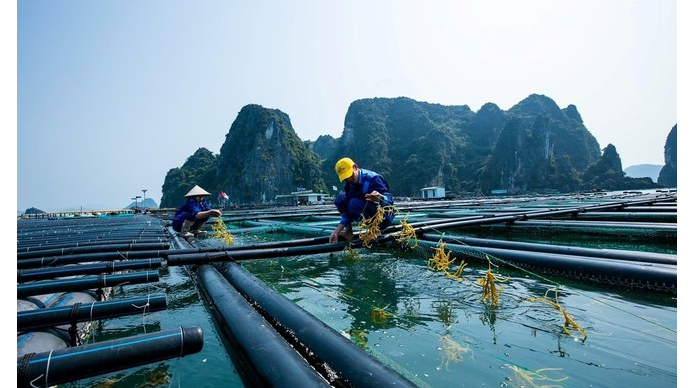 Ảnh minh hoạ. Ảnh: Vietnam+