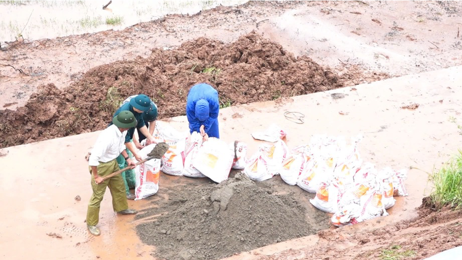 Lực lượng chức năng huyện Thanh Oai gia cố đê tả Đáy, đoạn qua địa bàn xã Thanh Cao. (Ảnh: Ánh Ngọc)