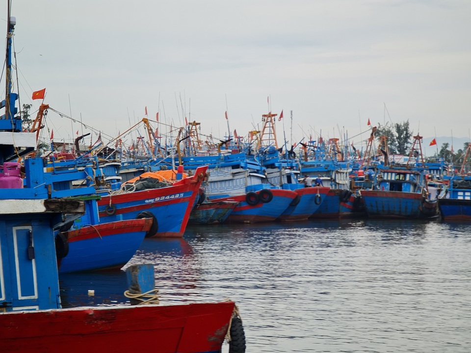 Quảng Ngãi: Mở cửa tất cả cảng cá, ngư dân nô nức chuẩn bị vươn khơi - Ảnh 4