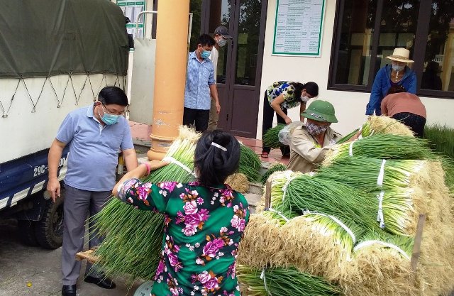 Phú Xuyên hỗ trợ nông dân tiêu thụ nông sản những ngày giãn cách xã hội - Ảnh 1