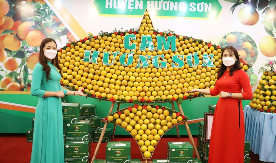 Triển khai số hóa kết hợp với truy xuất nguồn gốc vào nông nghiệp, Hà Tĩnh nắm bắt cơ hội xúc tiến tiêu thụ cam vào các hệ thống siêu thị - Ảnh 1