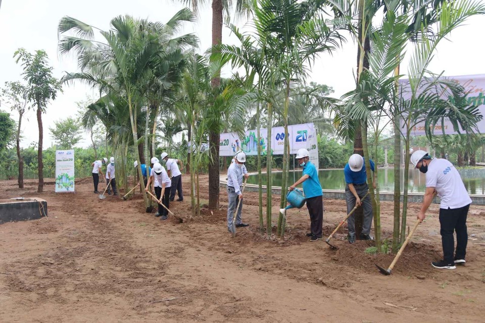 20.000 cây xanh được gieo trồng trong sinh nhật 20 năm của FLC - Ảnh 4