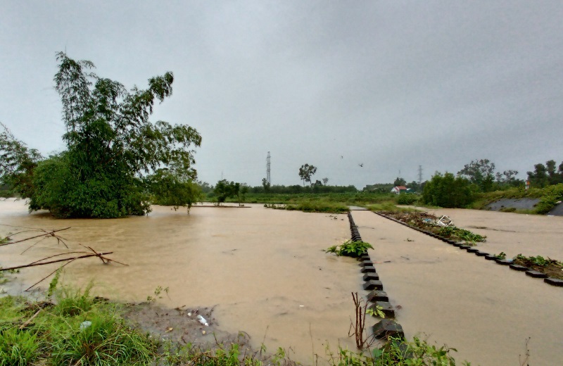 Quảng Ngãi: Lũ lên nhanh, nhiều địa phương xuất hiện ngập lụt, ngập cục bộ - Ảnh 1