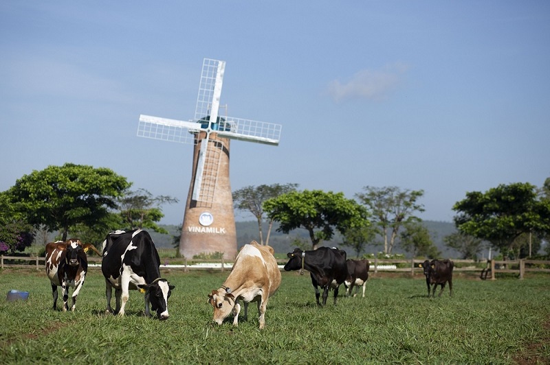 Vinamilk ra mắt sữa tươi Organic ‘tiêu chuẩn kép’ trong triển lãm quốc tế hàng đầu tại Thượng Hải - Ảnh 4