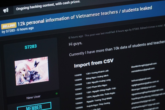 Hồ sơ sinh viên, giáo viên Việt Nam tiếp tục bị tin tặc rao bán - Ảnh 1