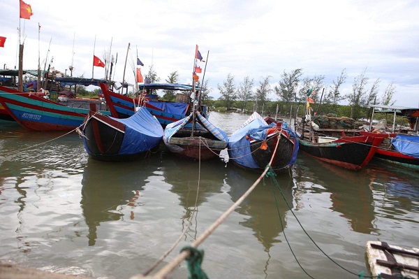 Hà Tĩnh: Kêu gọi hơn 3.600 tàu thuyền vào bờ tránh bão số 5 - Ảnh 1