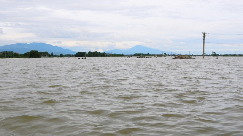 Quốc Oai: Lũ sông Tích dâng cao khiến nhiều hộ dân ngập nặng - Ảnh 1