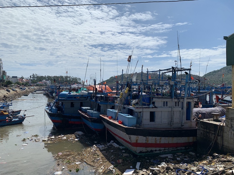 Tạm dừng hoạt động bến bãi, cảng cá: Ngư dân lo lắng không tiêu thụ được hải sản - Ảnh 2