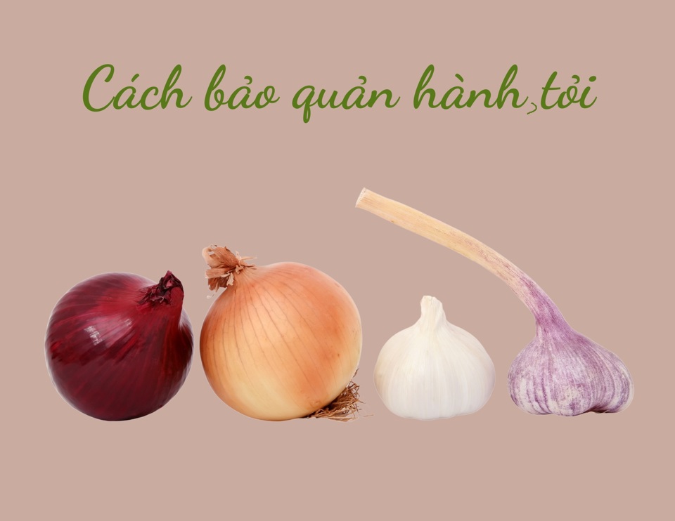 [Infographic] Bí quyết bảo quản hành, tỏi, ớt - Ảnh 4