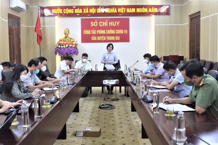 Huyện Thanh Oai cần khẩn trương xây dựng phương án sản xuất, kinh doanh trong tình hình mới - Ảnh 4