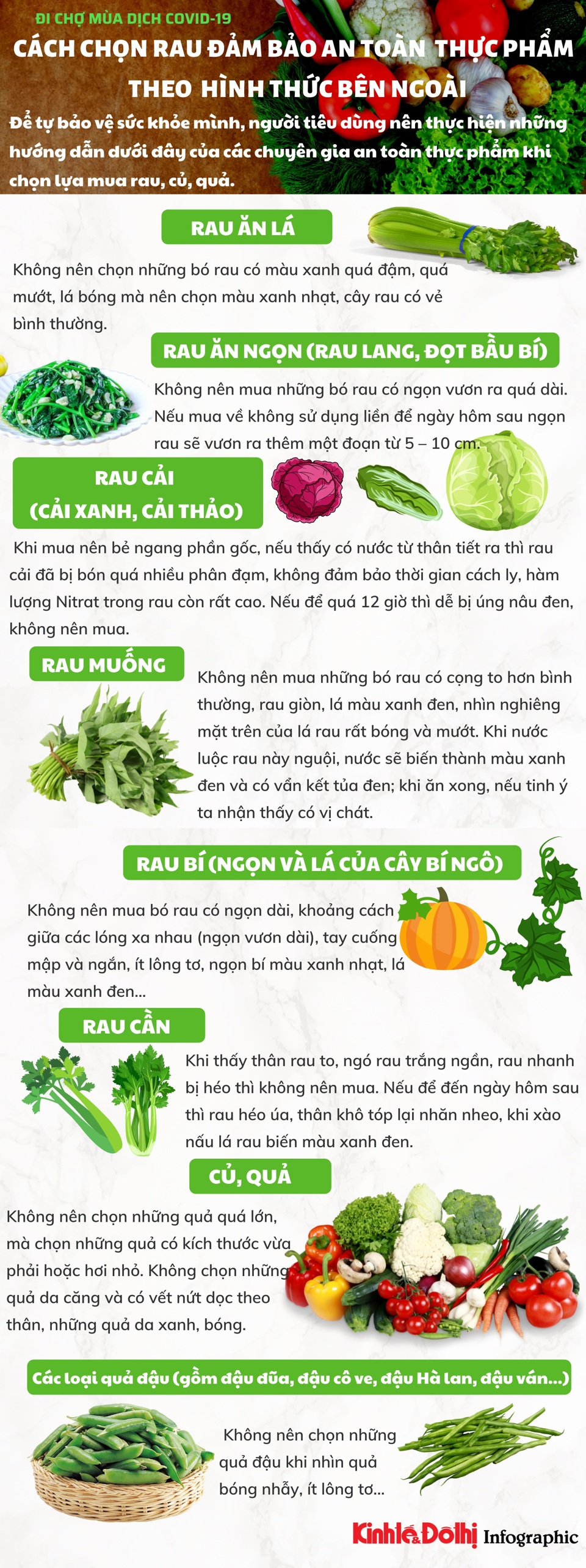[Infographic] Cách chọn rau, củ, quả đảm bảo an toàn thực phẩm chỉ cần nhìn bên ngoài - Ảnh 1
