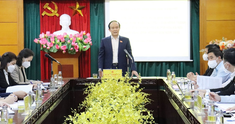 Chủ tịch HĐND TP Nguyễn Ngọc Tuấn: Huy động người dân tham gia tích cực vào thực hiện quy hoạch phát triển văn hoá - Ảnh 2