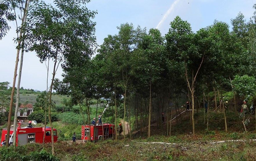 Hà Nội: Không chủ quan phòng cháy rừng mùa hanh khô - Ảnh 2