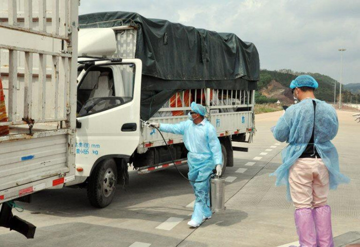 Trung Quốc tạm dừng nhập thanh long Việt Nam do phát hiện SARS-CoV-2 - Ảnh 1